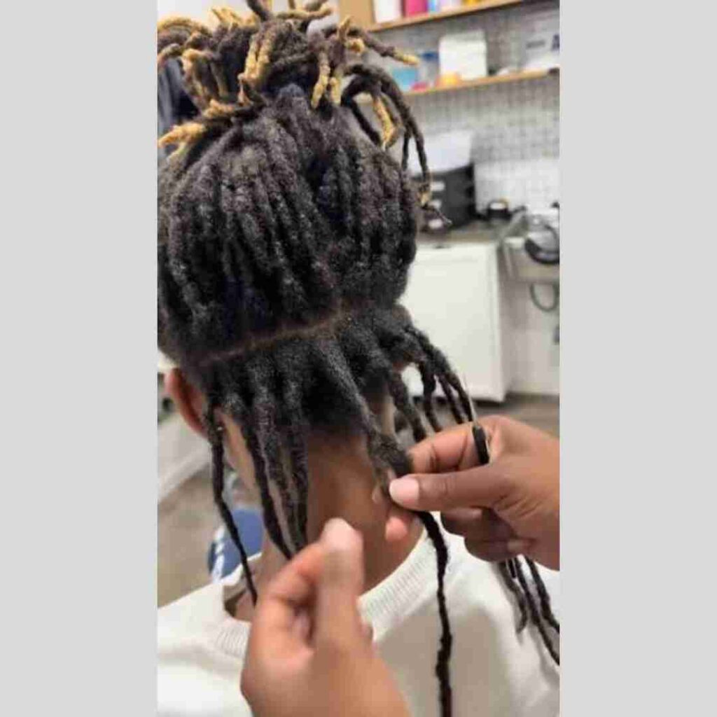 Services – Fix Locs